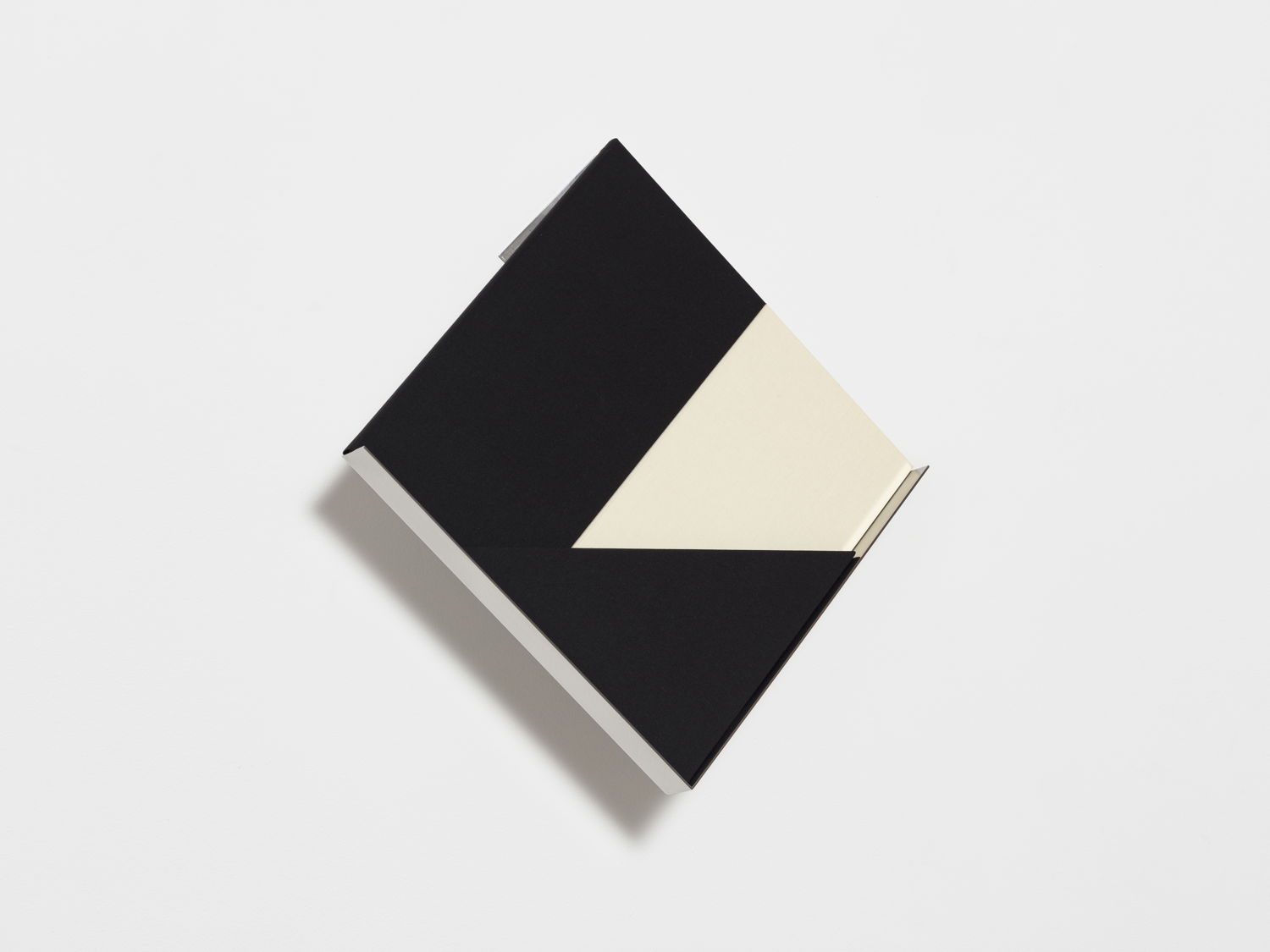 Fernanda Fragateiro, overlap (black and white), 2020 - Irène Laub Gallery